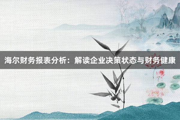 海尔财务报表分析：解读企业决策状态与财务健康