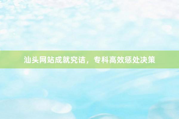 汕头网站成就究诘，专科高效惩处决策