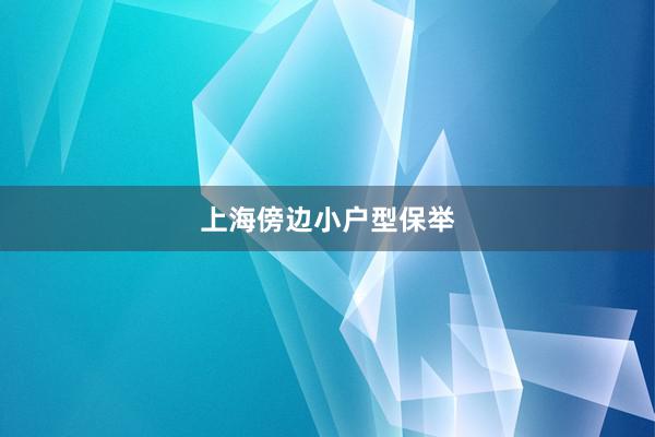 上海傍边小户型保举