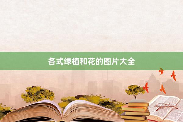 各式绿植和花的图片大全
