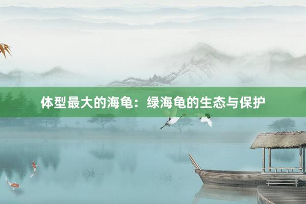 体型最大的海龟：绿海龟的生态与保护