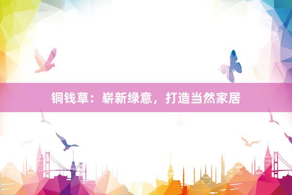 铜钱草：崭新绿意，打造当然家居